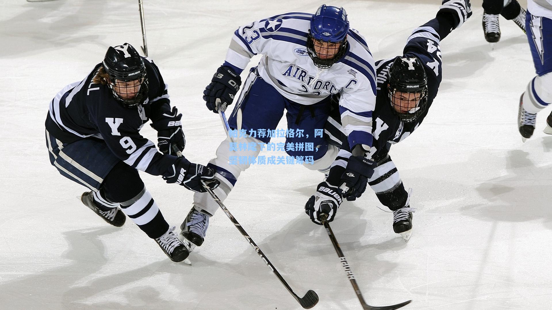 帕克力荐加拉格尔,阿莫林麾下的完美拼图,坚韧体质成关键筹码